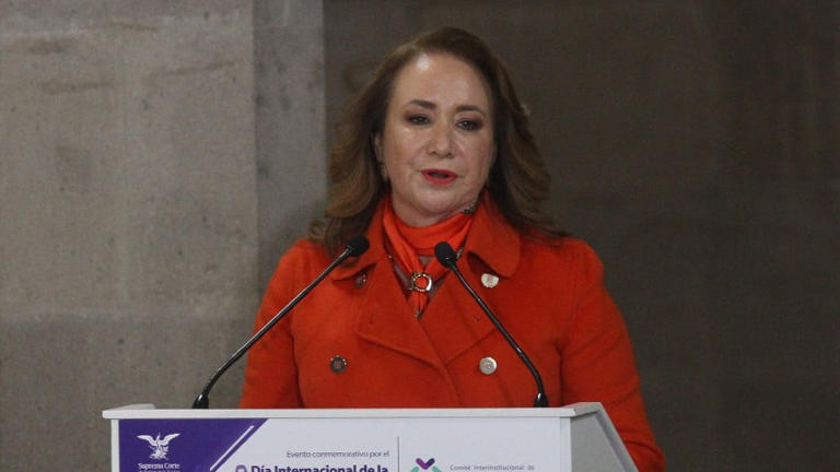 Alto nivel de coincidencias en tesis de ministra Yasmín Esquivel UNAM