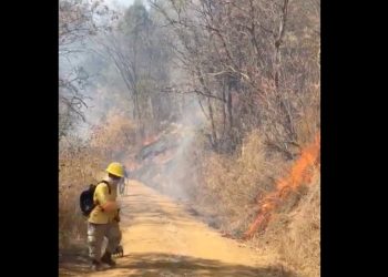 Por incendios y heladas, en ESTADO DE EMERGENCIA 28 municipios de Oaxaca