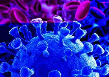 Se cumple un año de que OMS declaró la pandemia por COVID-19