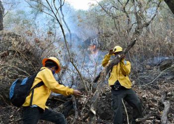 Reportan control del 70% de incendio en El Tepozteco