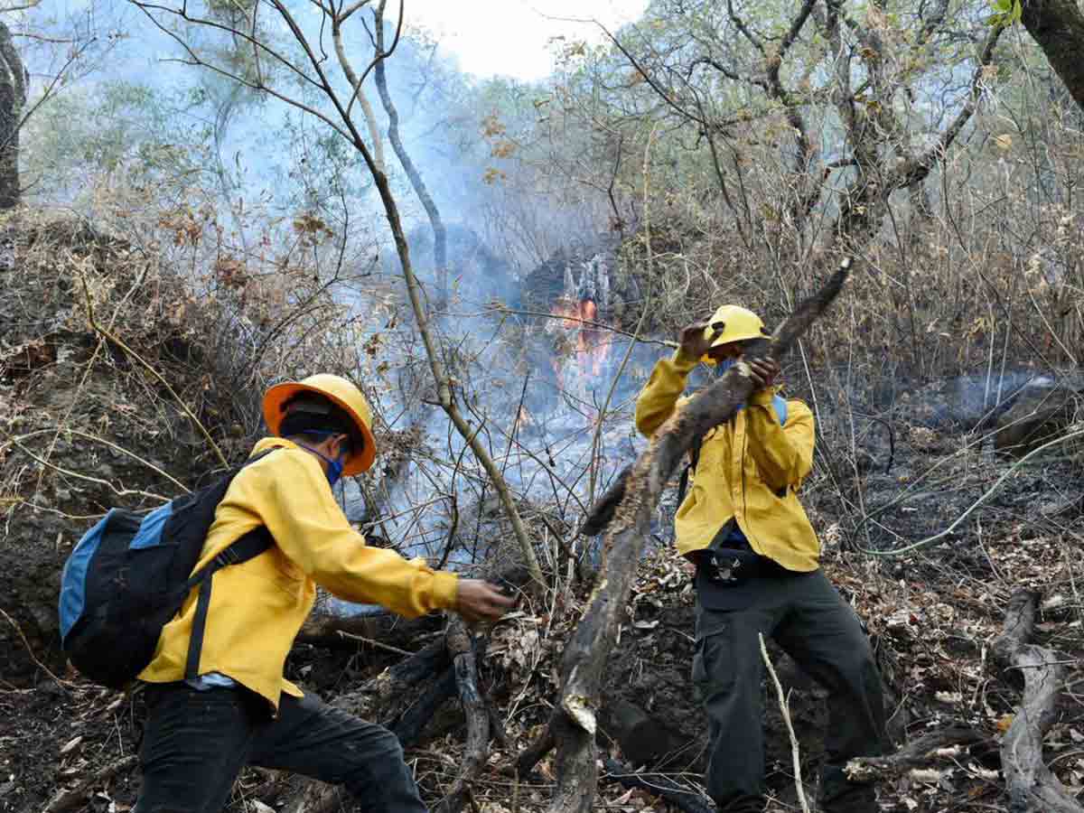Reportan control del 70% de incendio en El Tepozteco - Dulce Patria