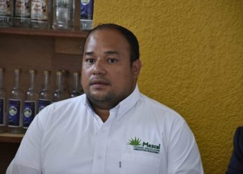 Gremio mezcalero prevé un «albazo» en la renovación del Consejo Regulador