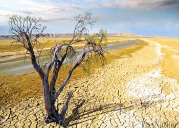 Sequía afecta 10 municipios de Oaxaca