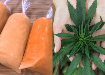 Niños se intoxican por ‘hielitos’ de marihuana en Sonora