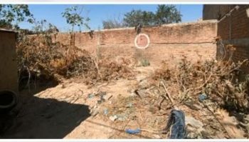 Localizan 70 bolsas con restos humanos en Jalisco