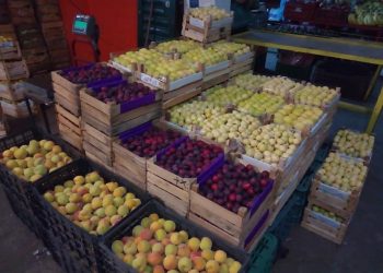 Líderes del comercio mayorista realizan foro sobre seguridad alimentaria