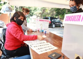 Baja la participación ciudadana en consulta Popular
