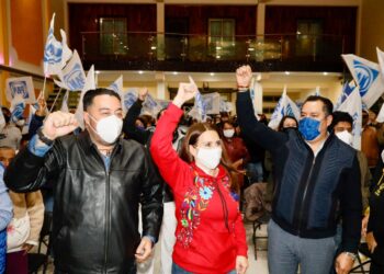 Impulsaremos programas sociales en beneficio de las mujeres hidalguenses: Viggiano Austria