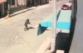 Perros pitbull atacan y arrastran a niña en Edomex (VIDEO)