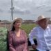 En 2022, Sembrando Vida alcanzará la meta de 1 millón de hectáreas: AMLO