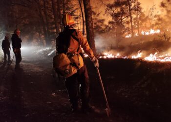 En México hay 44 incendios activos: Conafor