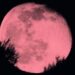 No te pierdas la Luna Rosa de abril este fin de semana