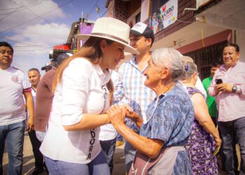 Mi gobierno podrá ejemplo para rendir cuentas claras: Viggiano Austria