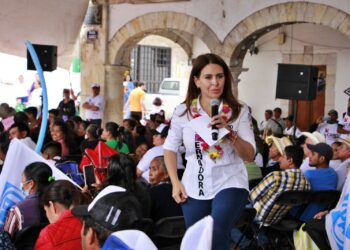 No dejen que les compren el voto: Viggiano Austria