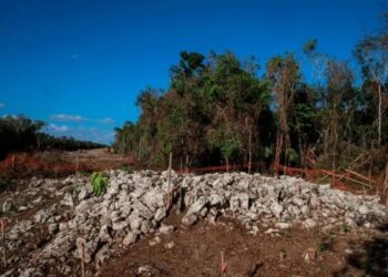 Juez concede suspensión definitiva; gobierno dice que continuará tramo 5 del Tren Maya