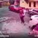 Niño corre en busca de un juguete y es atropellado (VIDEO)
