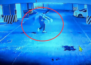 Sheinbaum presenta video de presunto feminicida cargando el cuerpo de #AriadnaFernanda