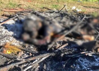 Queman vivo a un presunto ladrón en Santiago El Pinar, Chiapas