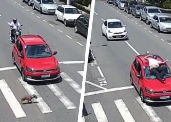 Motociclista termina sentado en parabrisas de vehículo