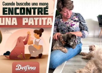 Delfina Gómez fortalecerá los Centros de Bienestar Animal en el Edomex