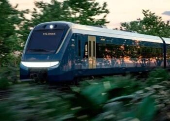 Concede juez suspensión definitiva contra tala en cuatro tramos del Tren Maya