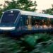 Concede juez suspensión definitiva contra tala en cuatro tramos del Tren Maya
