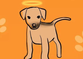 Exigen justicia para "Huellitas", el perrito torturado hasta la muerte en Puebla