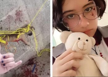 Exigen justicia para “Huellitas”, perrito asesinado por alumna de bachillerato en Puebla