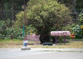 Panistas quieren privatizar franja Cherokees en alcaldía Coyoacán: Sebastián Ramírez