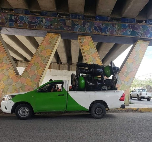 Ni A Las Ranas Mariachi Respetaron Las Roban De La Tienda Se Or Frogs De Acapulco