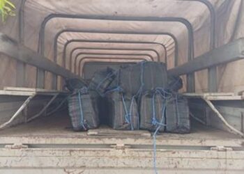 Decomisan casi dos toneladas de cocaína en costas michoacanas