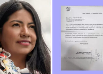 Indira Kempis deja Movimiento Ciudadano en el Senado