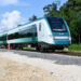 Tribunal ordena «paralizar» obras del Tren Maya en Tramo 5 Sur