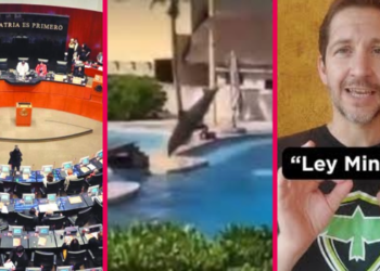 Senado aprueba por unanimidad la "Ley Mincho"