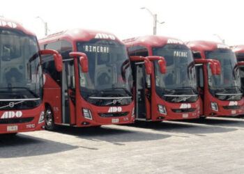 Autobuses en México, un monopolio abusivo: Luis Cárdenas