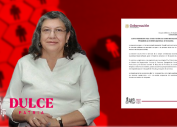 Teresa Reyes renuncia a la Comisión Nacional de Búsqueda.