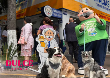 Dr. Simi abrirá veterinarias en el Estado de México.