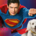 Superman aumenta búsquedas en Google para adopción de perros.