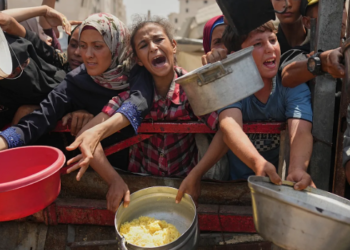 La hambruna de Gaza ha sido promovida como arma de guerra﻿.