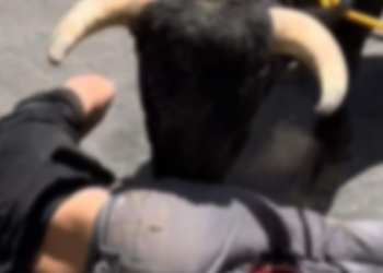 Toro embiste a sujeto en la Huamantlada; evento termina con 8 lesionados.