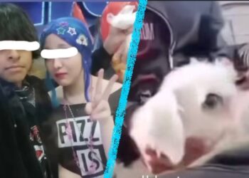 Jóvenes sanguinarios detenidos por sacrificar a perrito en García, Nuevo León