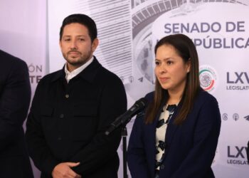 Celebra PVEM suspensión del cuarto muelle en Cozumel, Quintana Roo