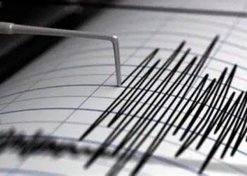 Se registra sismo de 5.9 en Tlacolula, Oaxaca; se percibe en la CDMX