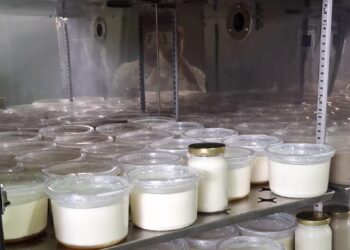 Presentan SISEH ante Comisión Estatal de Mejora Regulatoria