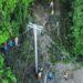 CFE restablece al 100% el suministro eléctrico en estados afectados por lluvia