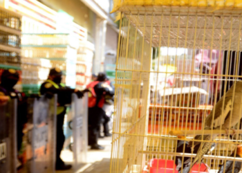 Adiós a la venta de animales en el Mercado de Sonora.