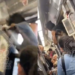 Por no pagar entrada, hombre muere en tren de Jalisco (VIDEO).