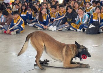 Fomentan la convivencia escolar en Tizayuca y Tasquillo con ferias educativas