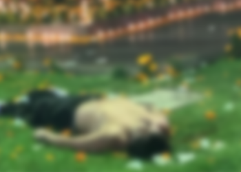 Identifican al asesino de Carlos Manzo como Víctor Manuel, de 17 años