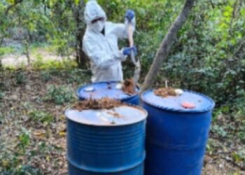 Aseguran casi 20 mil litros de precursores químicos en Culiacán y Cosalá